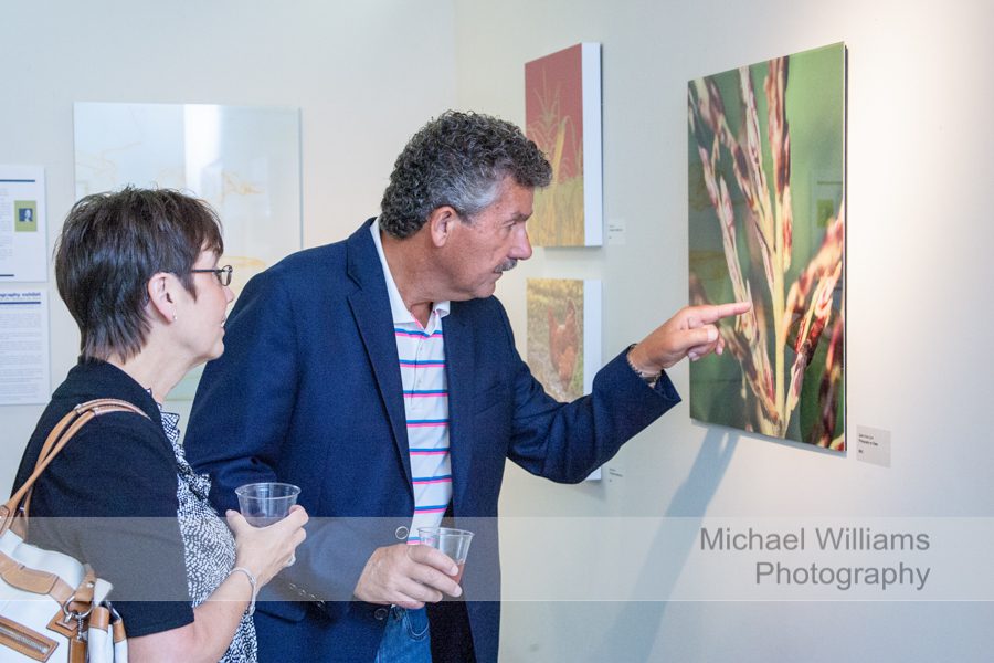 raleigh event photographer